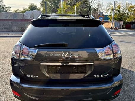 Lexus RX, 2004 — photo 7