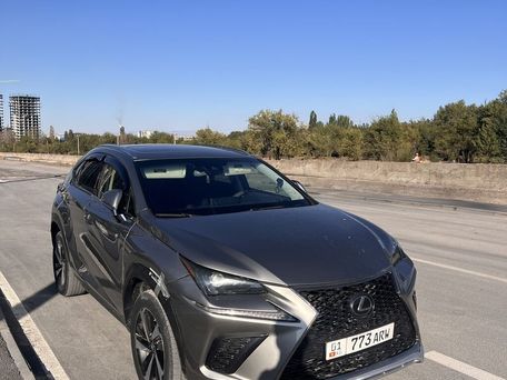 Lexus NX, 2018 — фото 1