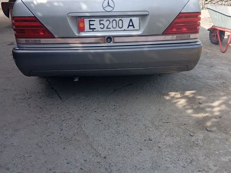 Mercedes-Benz S-Класс, 1992 — сүрөт 10