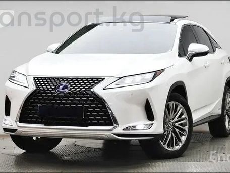 Lexus RX, 2022 — фото 3