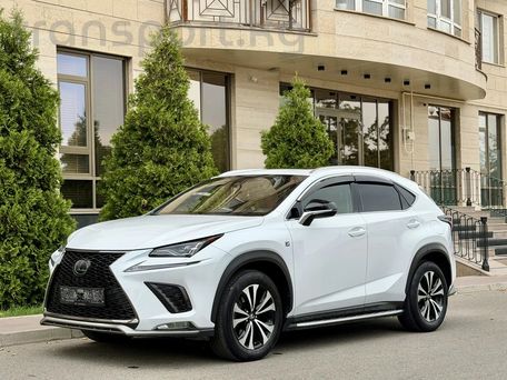 Lexus NX, 2018 — фото 2