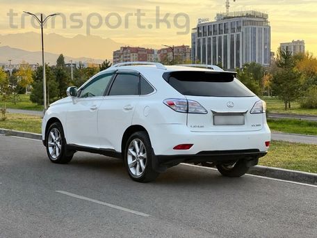 Lexus RX, 2009 — photo 4