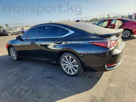 Lexus ES, 2020 — сүрөт 5