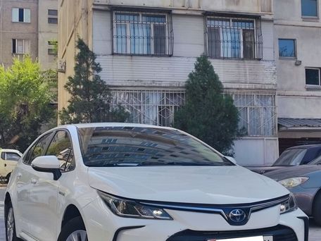 Toyota Corolla, 2019