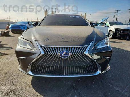 Lexus ES, 2020 — фото 1