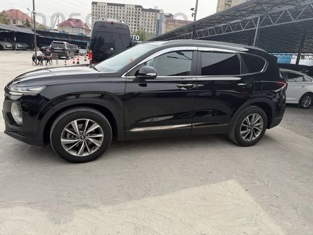 Hyundai Santa Fe, 2019 — фото 3