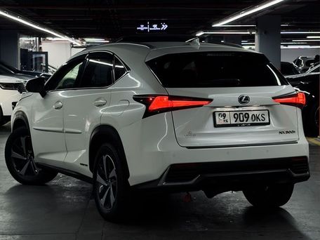 Lexus NX, 2020 — сүрөт 4