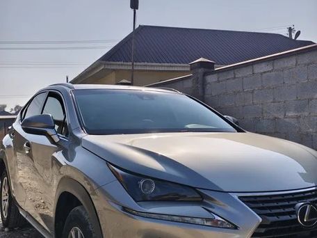 Lexus NX, 2019 — 照片 7