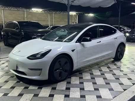 Tesla Model 3, 2023 — фото 1