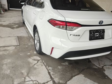 Toyota Levin, 2021 — 照片 3