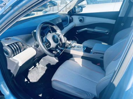 BYD Yuan Plus, 2023 — photo 7