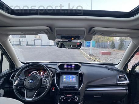 Subaru Forester, 2019 — 照片 6