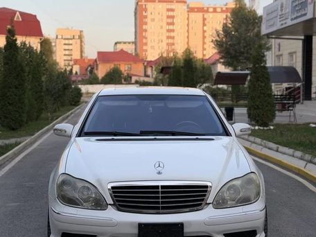 Mercedes-Benz S-Класс, 2003 — 照片 7