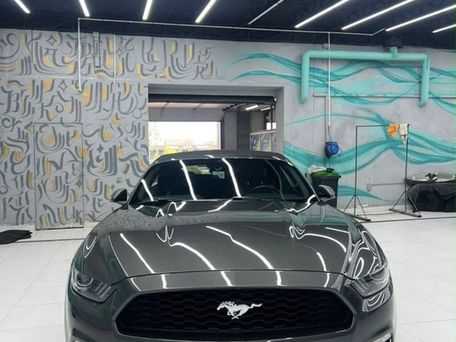 Ford Mustang, 2017 — 照片 4