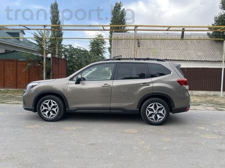 Subaru Forester, 2019 — фото 3