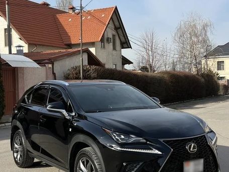 Lexus NX, 2019 — фото 2