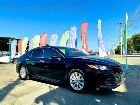 Toyota Camry, 2019 — фото 1