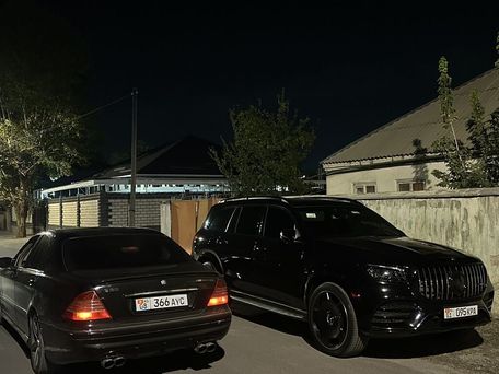 Mercedes-Benz S-Класс, 2002 — 照片 19