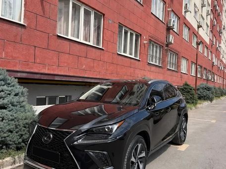 Lexus NX, 2019 — фото 1