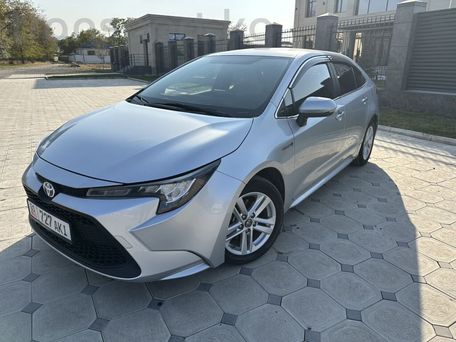 Toyota Levin, 2020 — сүрөт 2