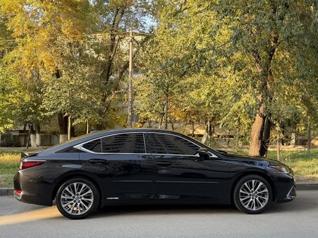 Lexus ES, 2020 — сүрөт 4