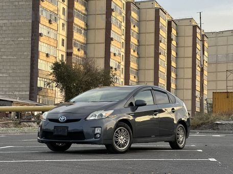 Toyota Prius, 2010 — сүрөт 1