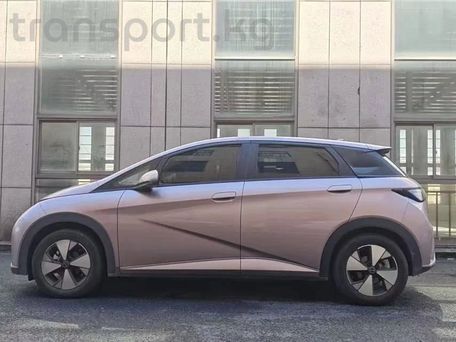 BYD Dolphin, 2021 — 照片 3
