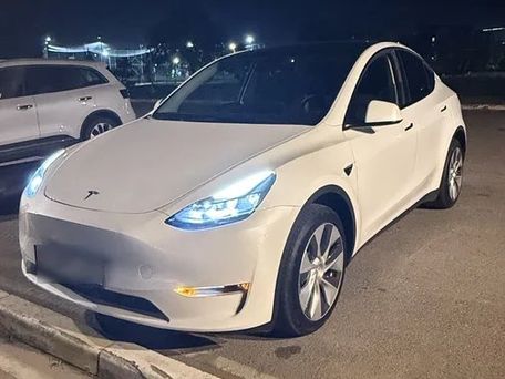Tesla Model Y, 2023 — фото 4