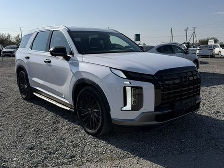 Hyundai Palisade, 2023 — photo 3