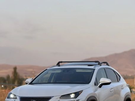 Lexus NX, 2021 — фото 1