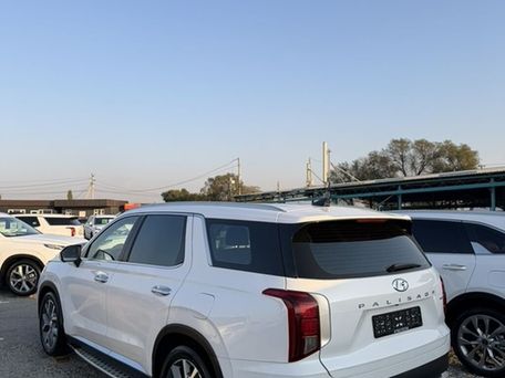 Hyundai Palisade, 2020 — сүрөт 4