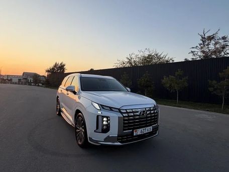 Hyundai Palisade, 2023 — photo 3