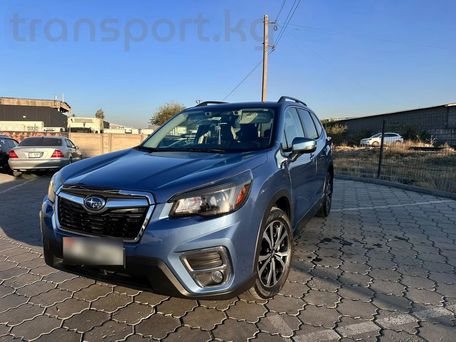 Subaru Forester, 2020 — фото 6