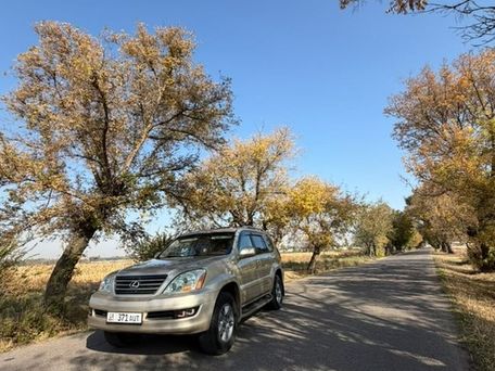 Lexus GX, 2008 — сүрөт 14