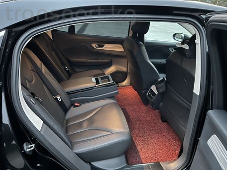 BYD E9, 2024 — 照片 5