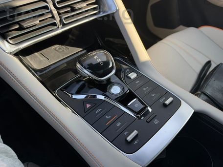 BYD Song Plus, 2021 — 照片 8