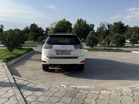 Lexus RX, 2008 — сүрөт 6
