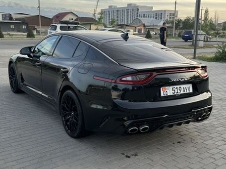 Kia Stinger, 2019 — photo 11