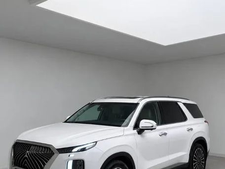 Hyundai Palisade, 2019 — 照片 1
