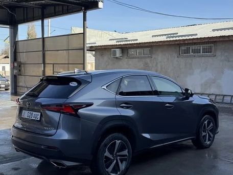 Lexus NX, 2018 — 照片 6