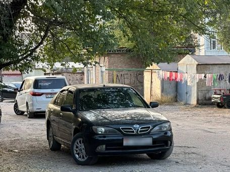 Nissan Primera, 2001 — photo 4
