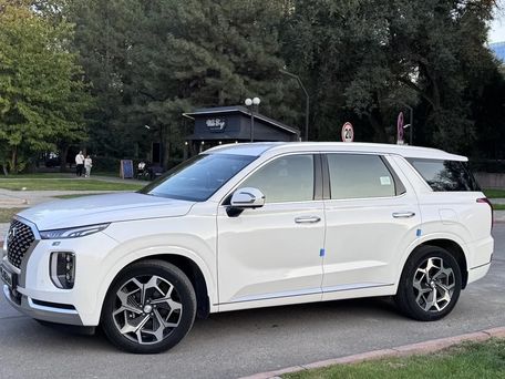 Hyundai Palisade, 2020 — photo 3