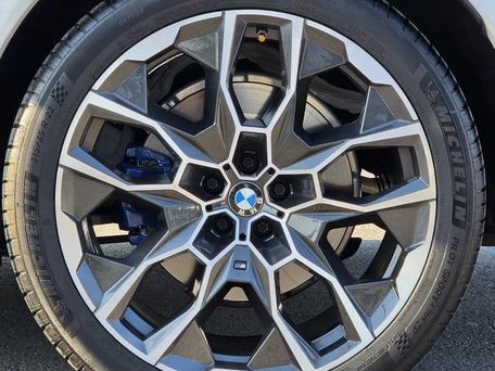 BMW X7, 2022 — фото 9