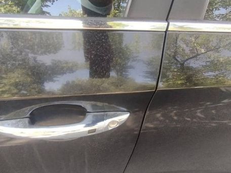 Hyundai Sonata, 2016 — сүрөт 8