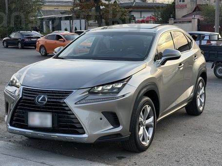 Lexus NX, 2017 — фото 10