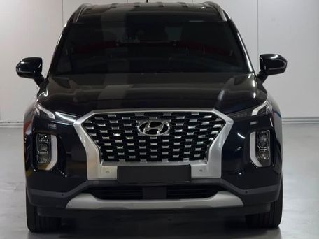 Hyundai Palisade, 2019 — photo 2