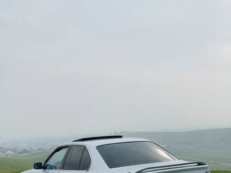 BMW 5 серии, 1991 — 照片 5