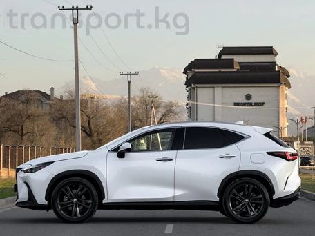 Lexus NX, 2023 — сүрөт 7
