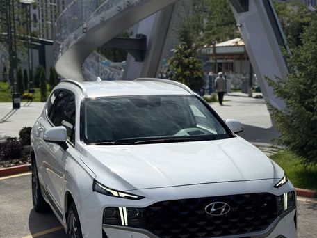 Hyundai Santa Fe, 2022 — сүрөт 5