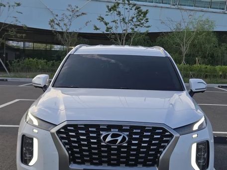 Hyundai Palisade, 2021